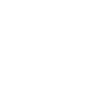 LinkedIn icon